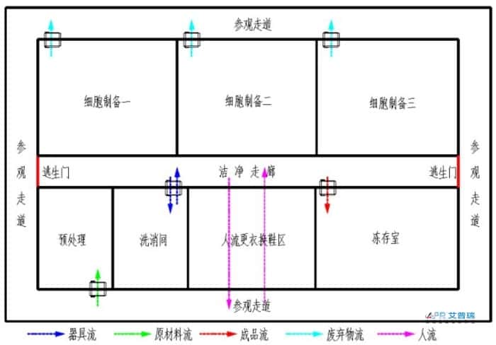 干细胞实验室布局怎么设计？